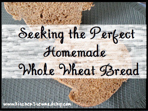 Seeking the Perfect Homemade Bread