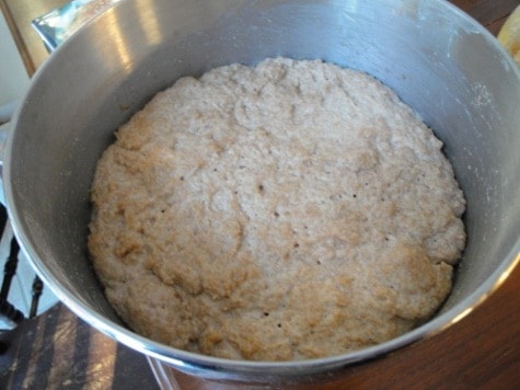 100% whole wheat (5) (475x356)