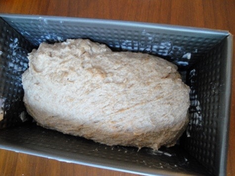 100% whole wheat (7) (475x356)