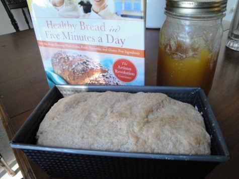 100% whole wheat (8) (475x356)