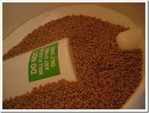 Nutrimill grain mill 1st try (2) (475x356)