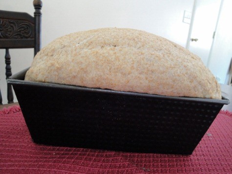 Tammy's soaked bread success (4) (475x356)