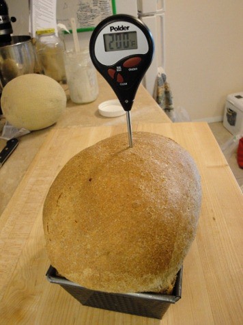 Tammy's soaked bread success (6) (356x475)