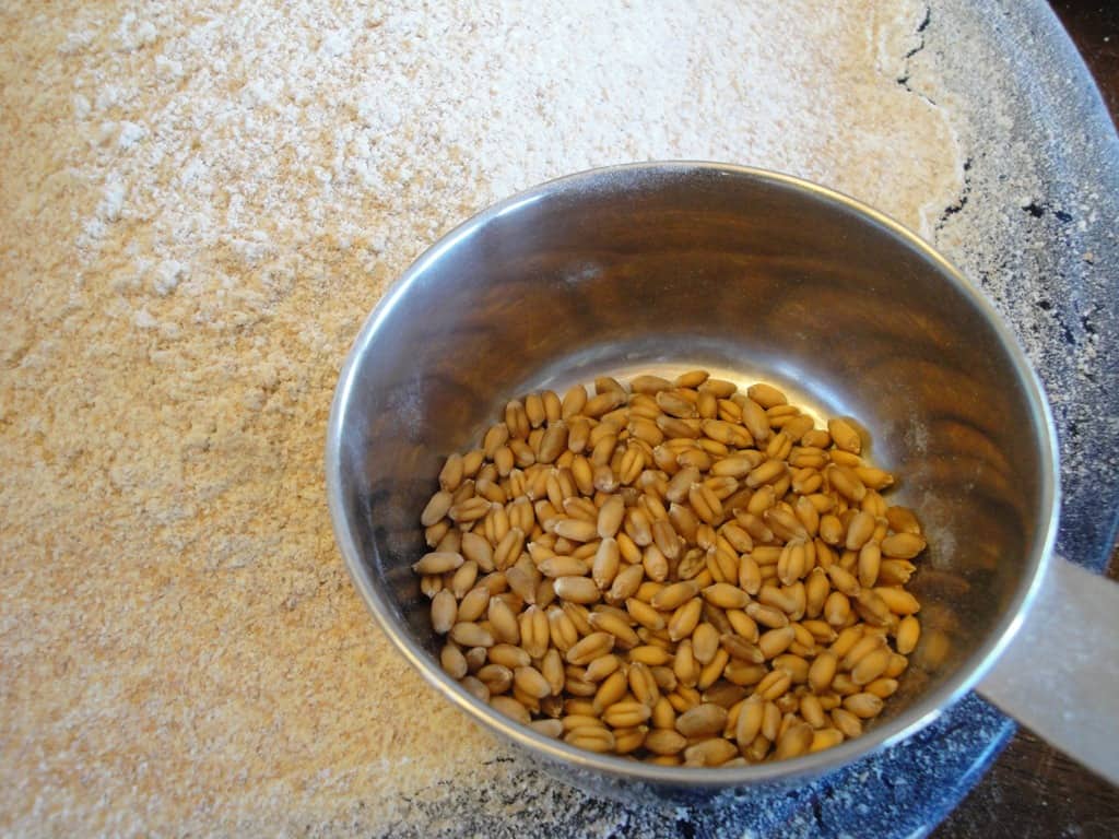 wheat berries and whole wheat flour