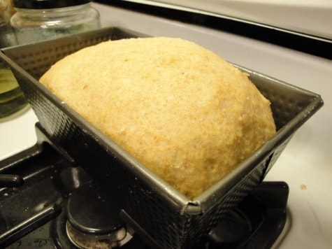 Bread Machine Whole Wheat Dinner Rolls