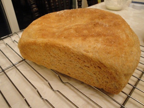Bread Machine Whole Wheat Dinner Rolls