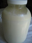 milk jar (2)