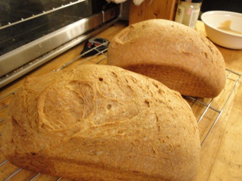 Nourishing Traditions Soaked Buttermilk Bread