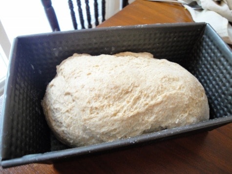 sandwich bread (14) (475x356)