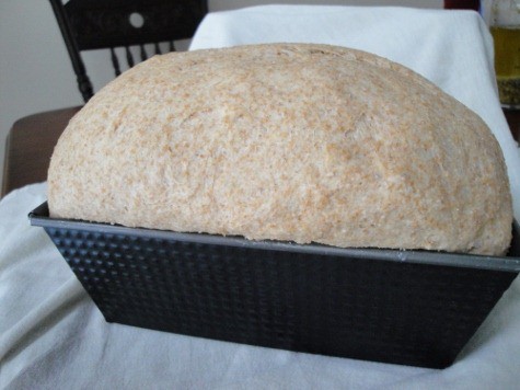 tammy's bread (12) (475x356)