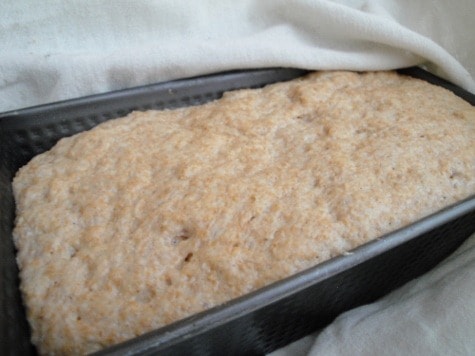 tammy's bread (6) (475x356)