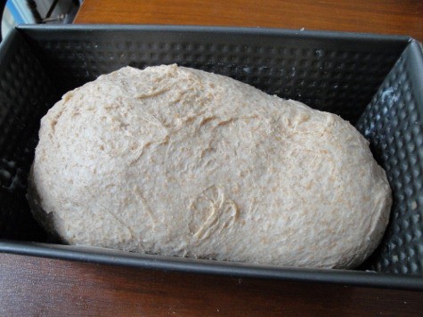 King Arhur's whole wheat sandwich bread (2) (475x356)