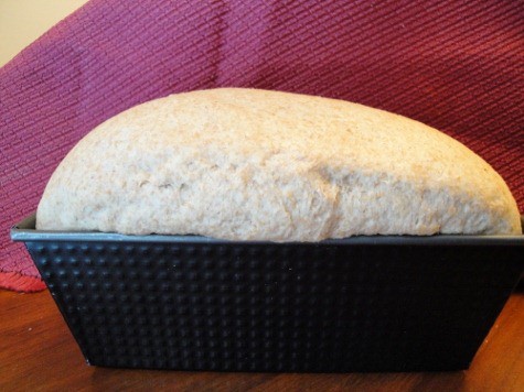 King Arhur's whole wheat sandwich bread (5) (475x356)