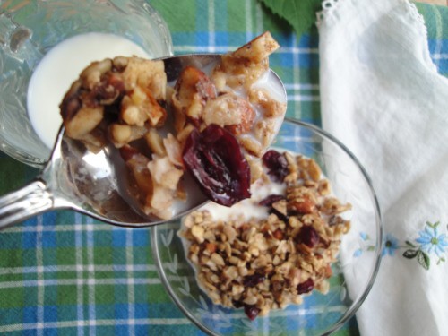 paleo grain free granola
