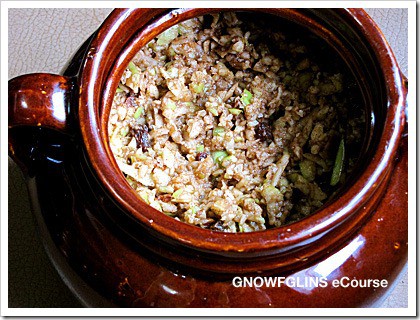 fermenting apple chutney