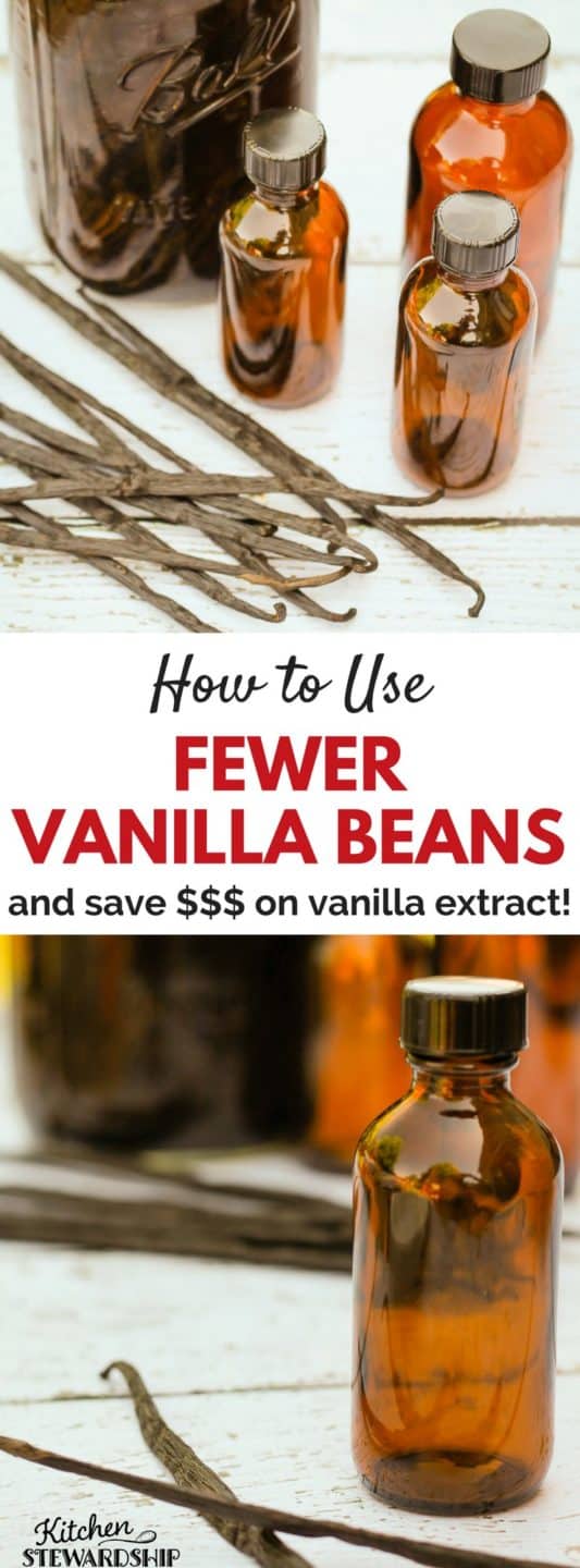 The Least Expensive VANILLA EXTRAC Tyou can make