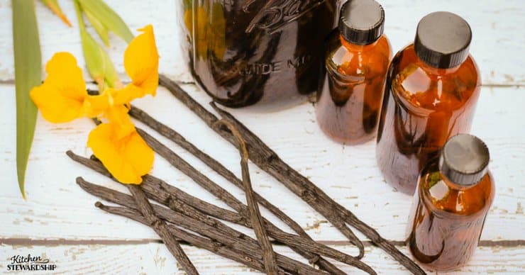 The Least Expensive VANILLA EXTRAC Tyou can make