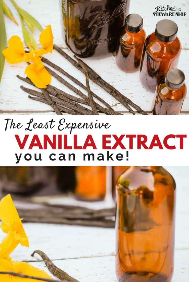 The Least Expensive VANILLA EXTRAC Tyou can make