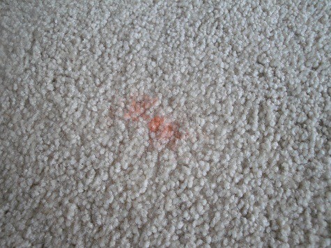 stain set in carpet from vinegar carpet cleaner