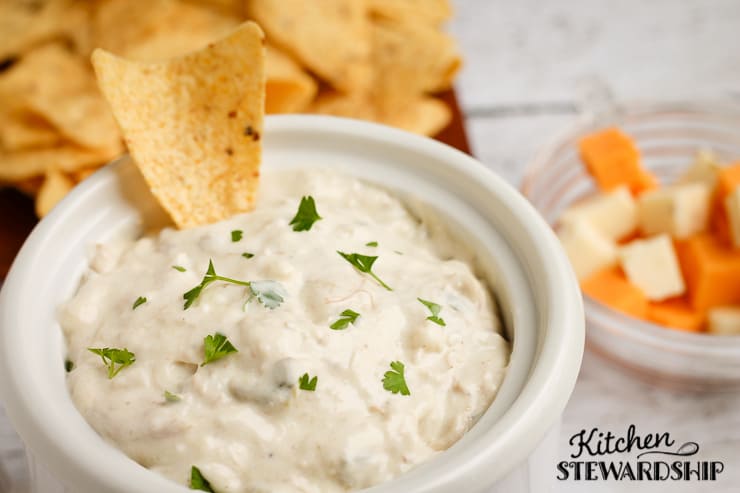 Spicy Cheesy Chicken Dip