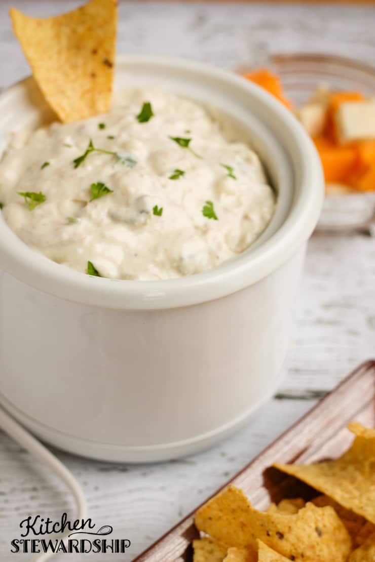 Spicy Cheesy Chicken Dip