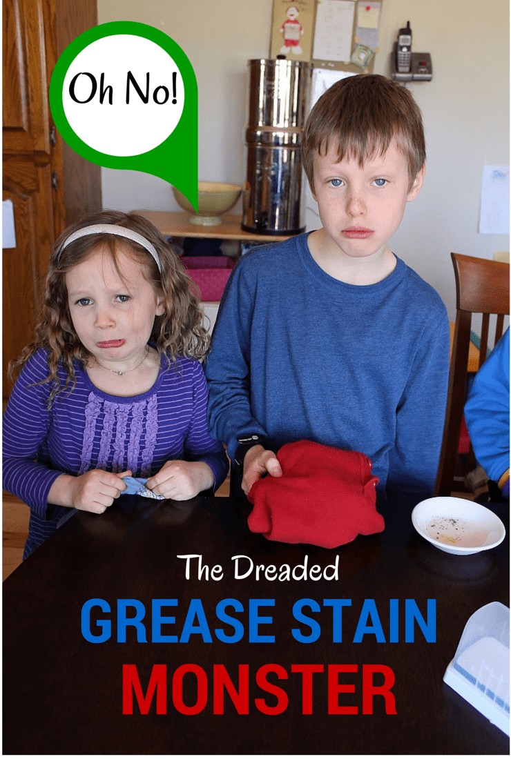 The Dreaded Grease Stain Monster what can a naturally minded mom do