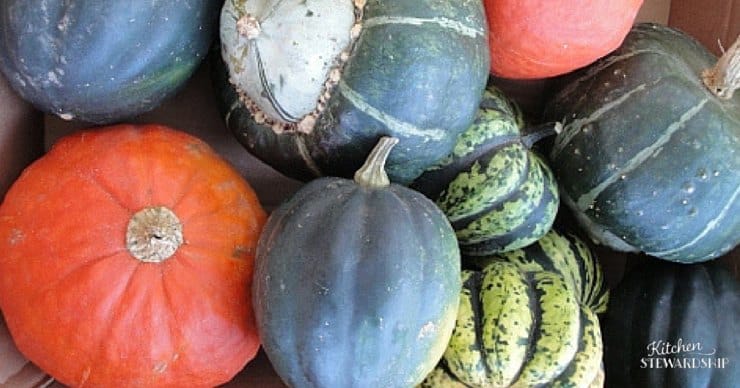 first foods for the real food baby