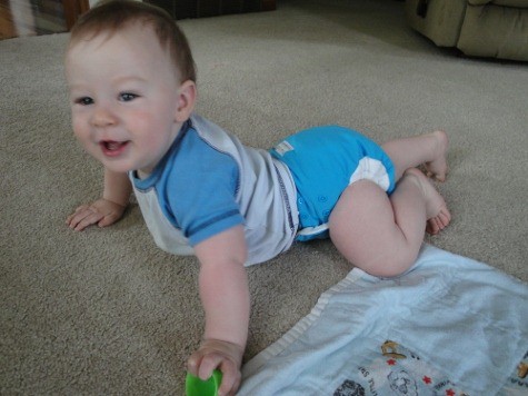 Babykicks Premium Joey Bunz cloth pocket diaper review