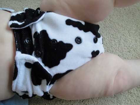 Go Green pocket diaper