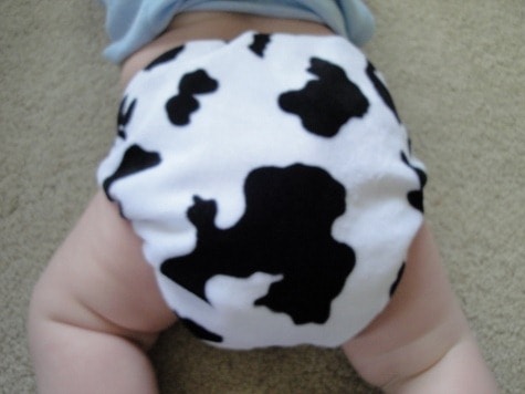 Go Green pocket diaper