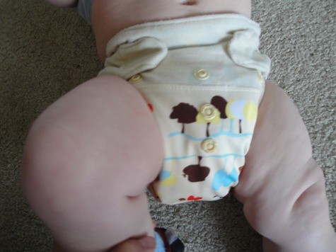 Find the Best Cloth Diaper: 25 Real Reviews all in one Place