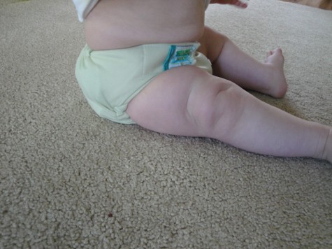 Tuck and Go cloth diaper review