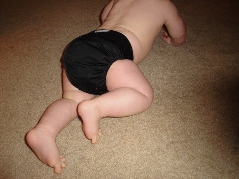 babykicks cloth diaper