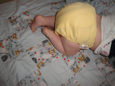 bum genius cloth diaper