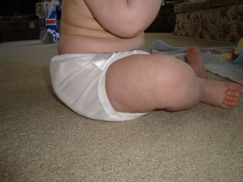 econobums cloth diaper