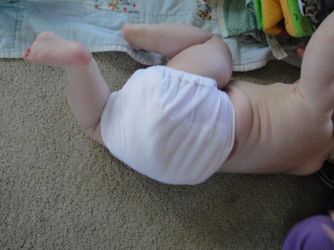 econobums cloth diaper (6) (475x356)
