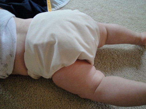flip cloth diaper