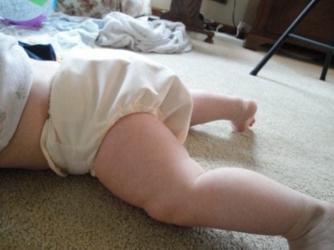 flip cloth diaper