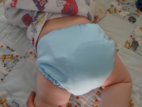 fuzzibuns pocket diaper