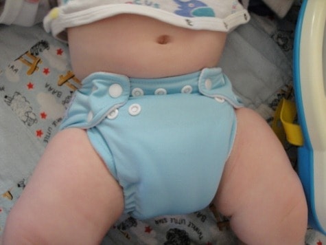 fuzzibuns pocket diaper