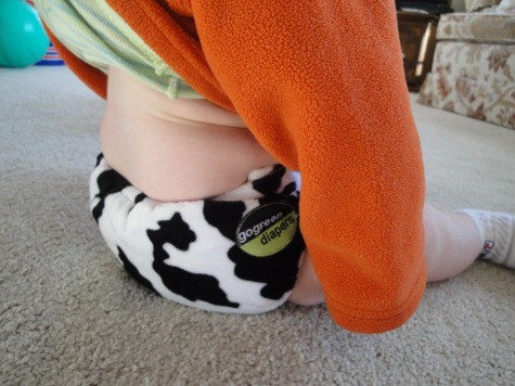 go green pocket diaper cow print