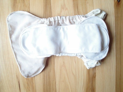 grovia all in two cloth diaper