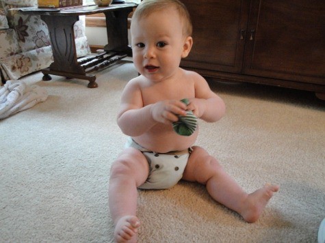 hiney liney versa cloth diaper