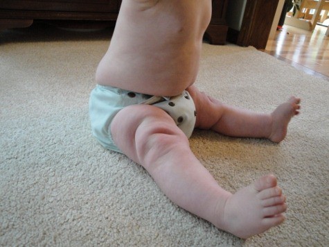 hiney liney versa cloth diaper