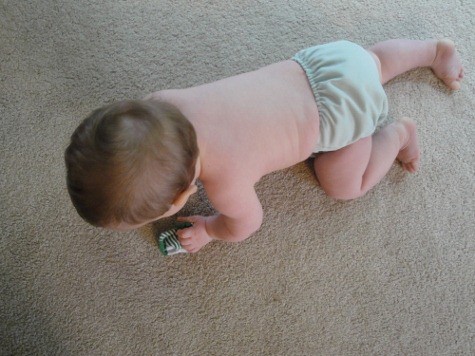 hiney liney versa cloth diaper