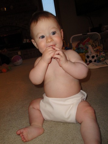 motherease AIO cloth diaper