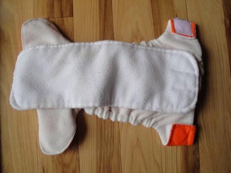 softbums echo cloth diaper