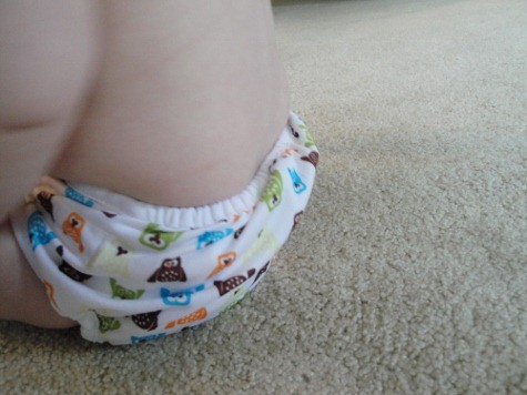 thirstie duo cloth diaper