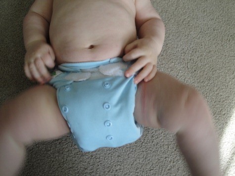 tiny tush pocket diaper