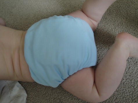 tiny tush pocket diaper